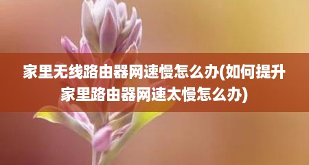 家里无线路由器网速慢怎么办(如何提升家里路由器网速太慢怎么办)