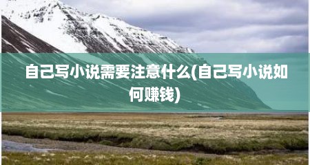 自己写小说需要注意什么(自己写小说如何赚钱)