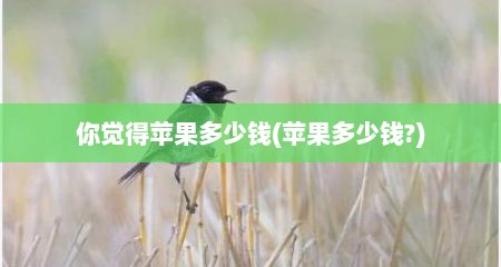 你觉得苹果多少钱(苹果多少钱?)