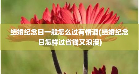 结婚纪念日一般怎么过有情调(结婚纪念日怎样过省钱又浪漫)
