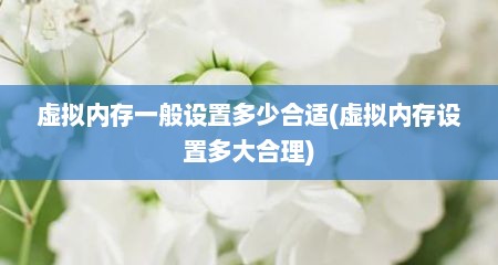 虚拟内存一般设置多少合适(虚拟内存设置多大合理)
