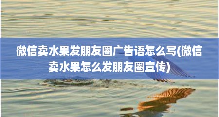 微信卖水果发朋友圈广告语怎么写(微信卖水果怎么发朋友圈宣传)
