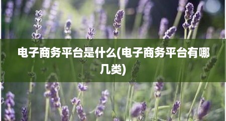 电子商务平台是什么(电子商务平台有哪几类)