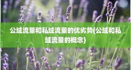 公域流量和私域流量的优劣势(公域和私域流量的概念)