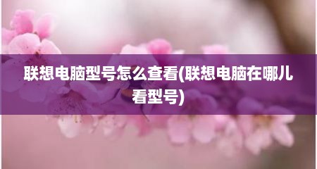 联想电脑型号怎么查看(联想电脑在哪儿看型号)
