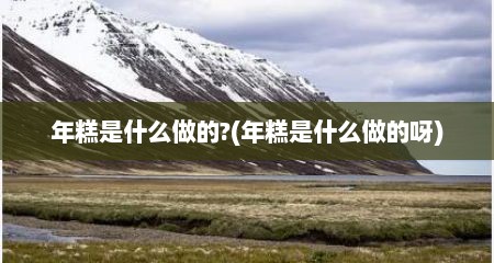 年糕是什么做的?(年糕是什么做的呀)