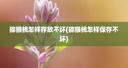 猕猴桃怎样存放不坏(猕猴桃怎样保存不坏)