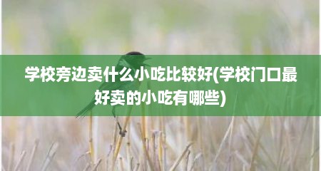 学校旁边卖什么小吃比较好(学校门口最好卖的小吃有哪些)