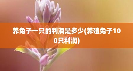 养兔子一只的利润是多少(养殖兔子100只利润)