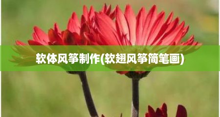 软体风筝制作(软翅风筝简笔画)