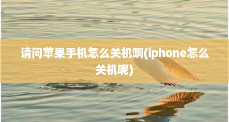 请问苹果手机怎么关机啊(iphone怎么关机呢)