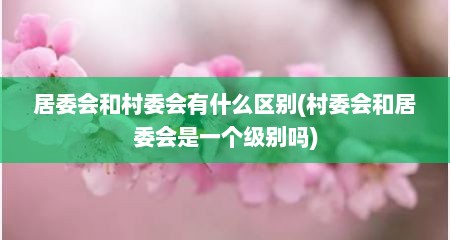 居委会和村委会有什么区别(村委会和居委会是一个级别吗)