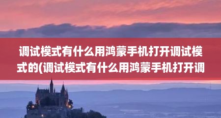 调试模式有什么用鸿蒙手机打开调试模式的(调试模式有什么用鸿蒙手机打开调试模式的方法)