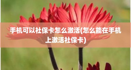 手机可以社保卡怎么激活(怎么能在手机上激活社保卡)