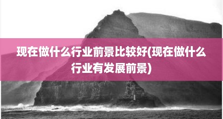 现在做什么行业前景比较好(现在做什么行业有发展前景)