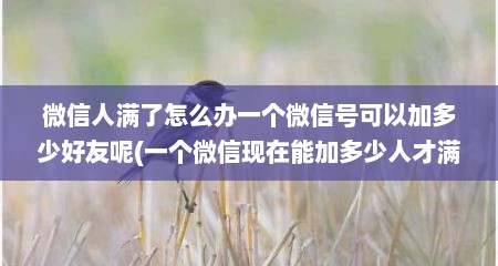 微信人满了怎么办一个微信号可以加多少好友呢(一个微信现在能加多少人才满)