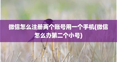 微信怎么注册两个账号用一个手机(微信怎么办第二个小号)
