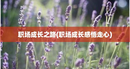 职场成长之路(职场成长感悟走心)