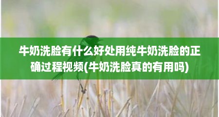 牛奶洗脸有什么好处用纯牛奶洗脸的正确过程视频(牛奶洗脸真的有用吗)