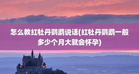 怎么教红牡丹鹦鹉说话(红牡丹鹦鹉一般多少个月大就会怀孕)