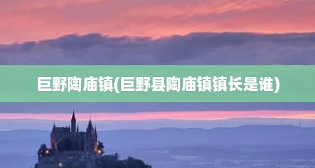 巨野陶庙镇(巨野县陶庙镇镇长是谁)