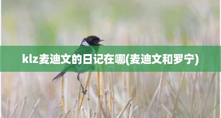 klz麦迪文的日记在哪(麦迪文和罗宁)