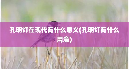 孔明灯在现代有什么意义(孔明灯有什么用意)