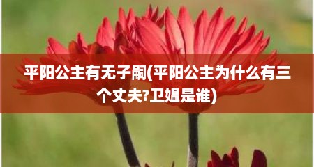 平阳公主有无子嗣(平阳公主为什么有三个丈夫?卫媪是谁)