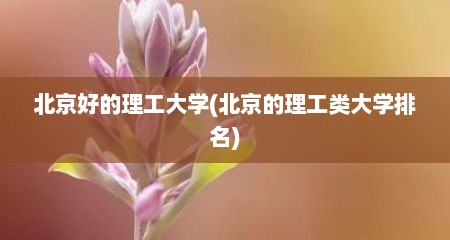 北京好的理工大学(北京的理工类大学排名)
