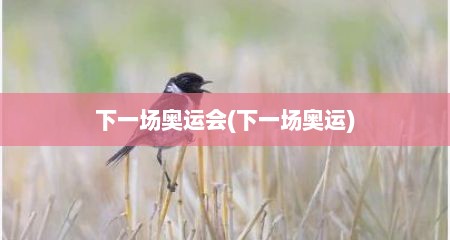 下一场奥运会(下一场奥运)