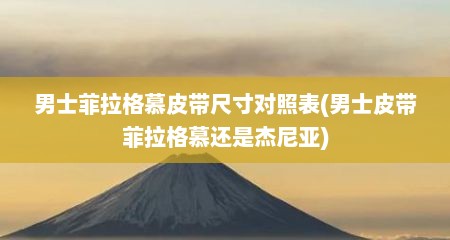 男士菲拉格慕皮带尺寸对照表(男士皮带菲拉格慕还是杰尼亚)