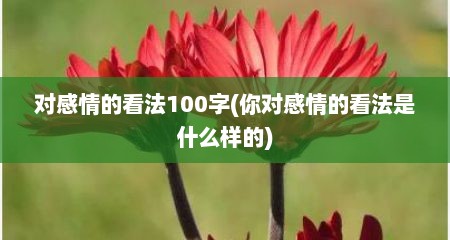 对感情的看法100字(你对感情的看法是什么样的)