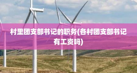 村里团支部书记的职务(各村团支部书记有工资吗)
