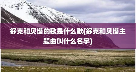 舒克和贝塔的歌是什么歌(舒克和贝塔主题曲叫什么名字)
