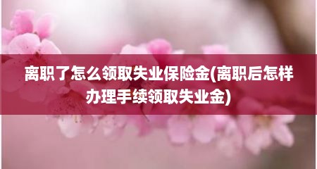 离职了怎么领取失业保险金(离职后怎样办理手续领取失业金)