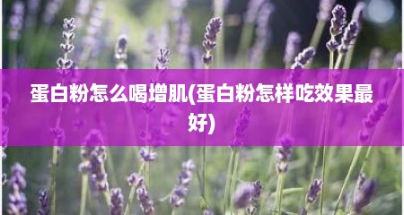 蛋白粉怎么喝增肌(蛋白粉怎样吃效果最好)