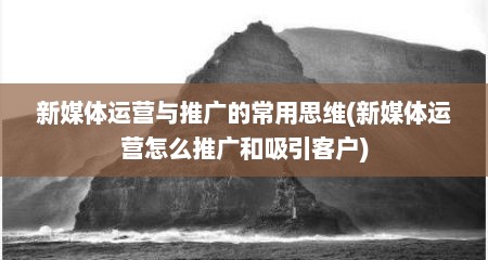 新媒体运营与推广的常用思维(新媒体运营怎么推广和吸引客户)