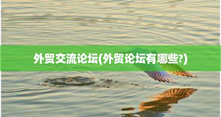外贸交流论坛(外贸论坛有哪些?)
