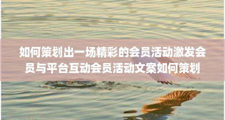 如何策划出一场精彩的会员活动激发会员与平台互动会员活动文案如何策划