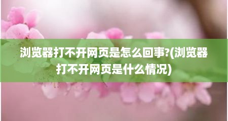 浏览器打不开网页是怎么回事?(浏览器打不开网页是什么情况)