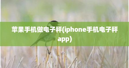 苹果手机做电子秤(iphone手机电子秤app)