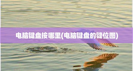 电脑键盘按哪里(电脑键盘的键位图)