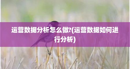 运营数据分析怎么做?(运营数据如何进行分析)
