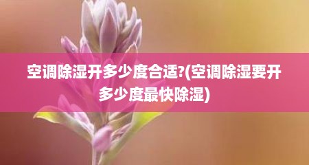 空调除湿开多少度合适?(空调除湿要开多少度最快除湿)