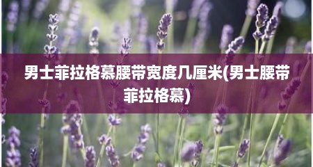 男士菲拉格慕腰带宽度几厘米(男士腰带菲拉格慕)