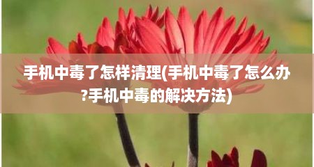 手机中毒了怎样清理(手机中毒了怎么办?手机中毒的解决方法)