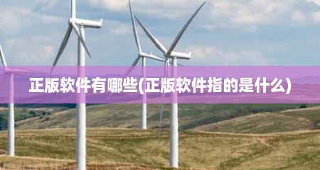 正版软件有哪些(正版软件指的是什么)