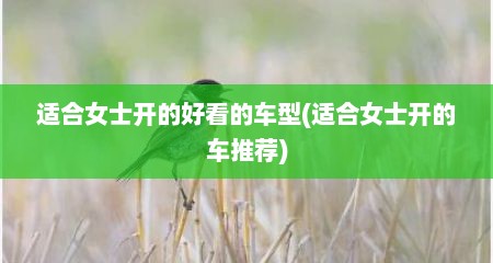 适合女士开的好看的车型(适合女士开的车推荐)