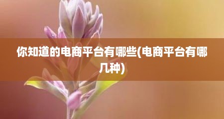 你知道的电商平台有哪些(电商平台有哪几种)