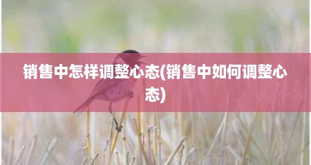 销售中怎样调整心态(销售中如何调整心态)